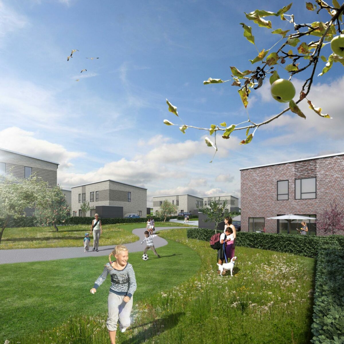 Æblelunden ved Aarhus bruger commissioning til at opnå DGNB Guld-certificering. Illustration: Ginnerup Arkitekter.