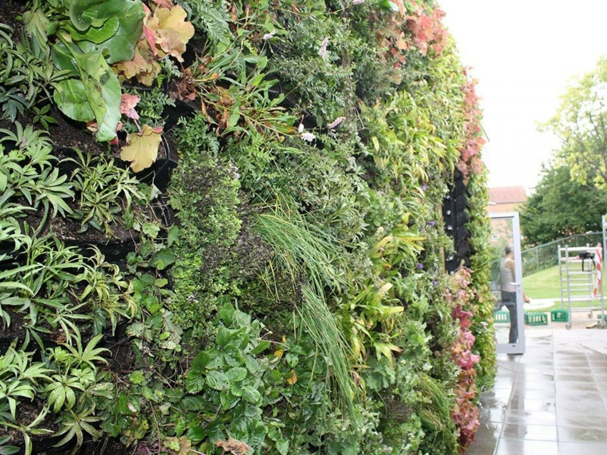 Væghavesystemet BGreen-it Living Wall kan bruges til en lang række planter, for eksempel krydderurter, jordbær og blomster. Pressefoto.