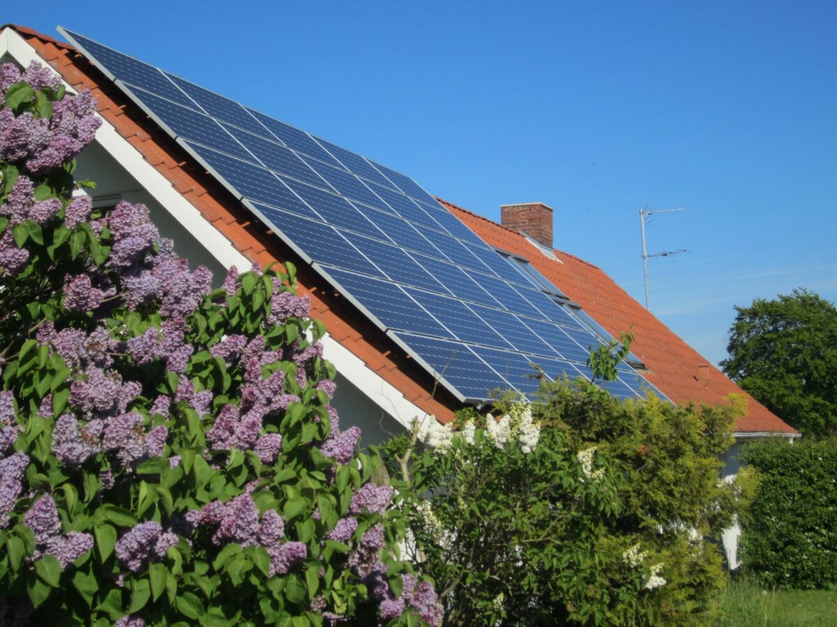 Alternativet vil forhøje afgifterne på benzin og diesel for at finansiere en lettelse for solenergien. Foto: Colourbox.