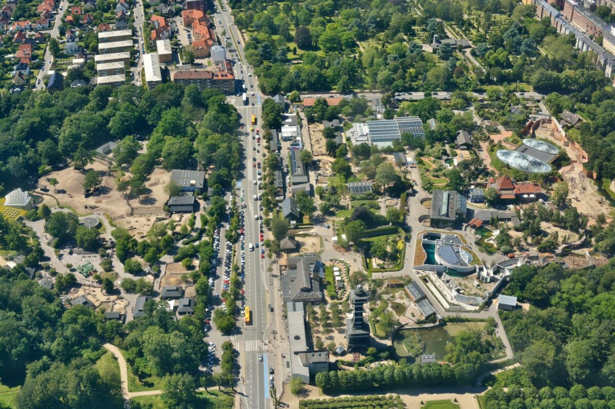 BIG skal tegne det nye pandaanlæg i København Zoo. Foto: Colourbox.