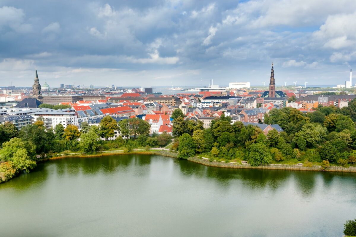 Træerne i grønne områder koster langt mindre end træer, der skal plantes langs vejene i Københavns Kommune. Foto: Colourbox.