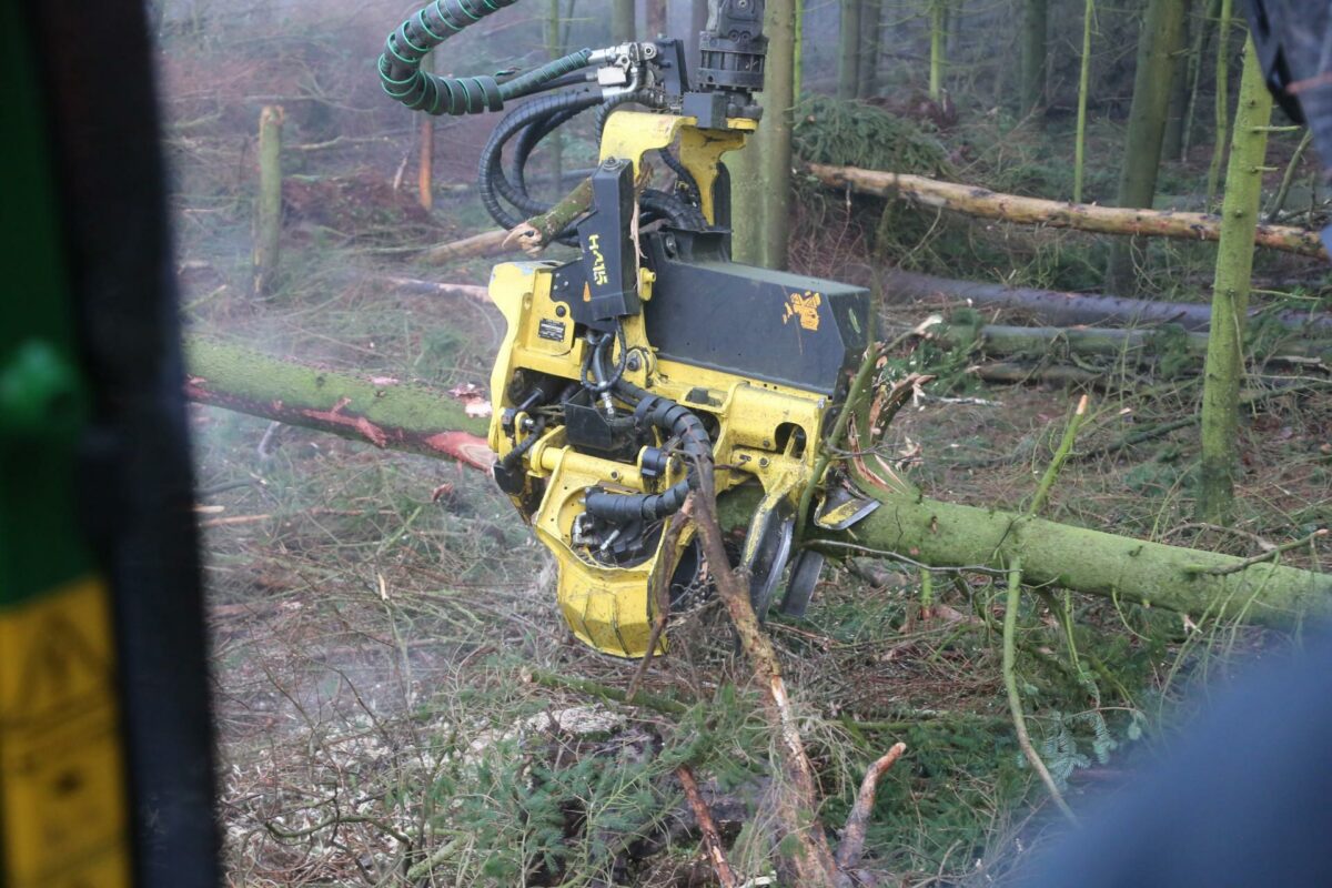 Arkivfoto: Kim Krasuld.