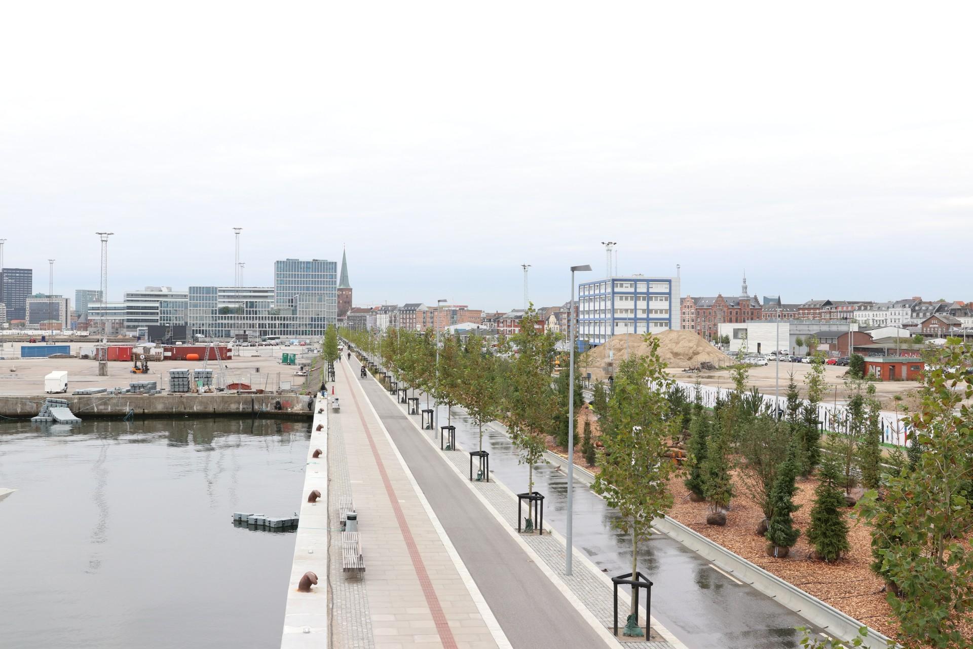 Højhuse, byggepladser og skibe. Der er ikke meget grønt på Aarhus Ø - indtil nu. Foto: Emil Filtenborg.