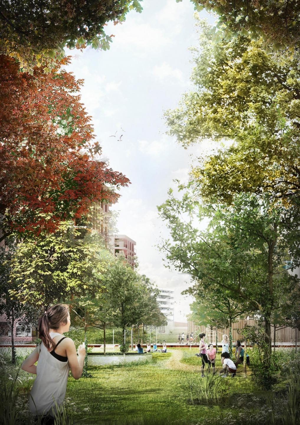 På ø 3 bliver der plads til aktiviteter for hele familien. Visualisering: Sleth Arkitekter.
