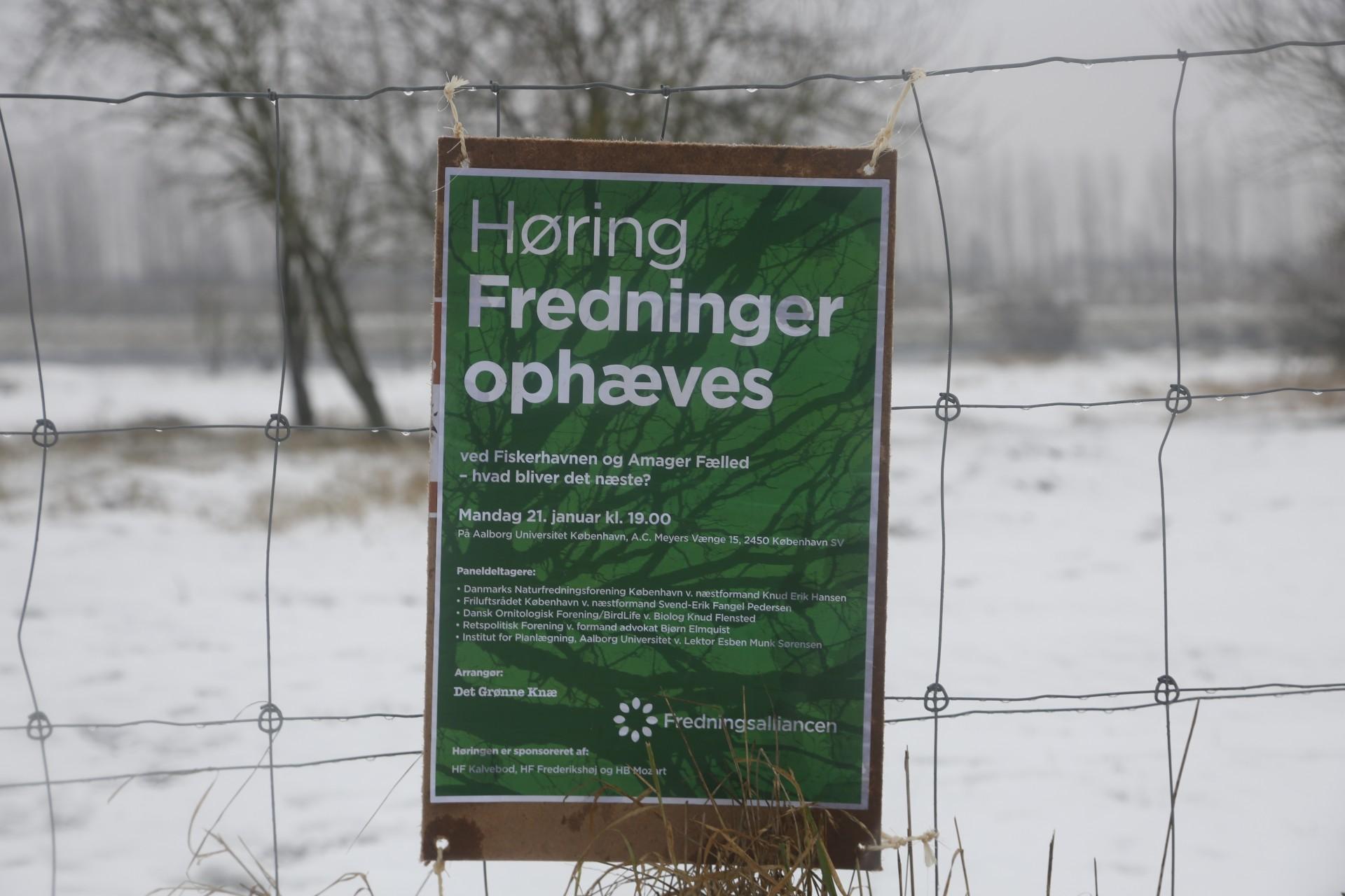 Det Grønne Knæ og flere andre foreninger er gået sammen i Fredningsalliancen, der vil bevare grønne områder i København. Foto: Emil Filtenborg.