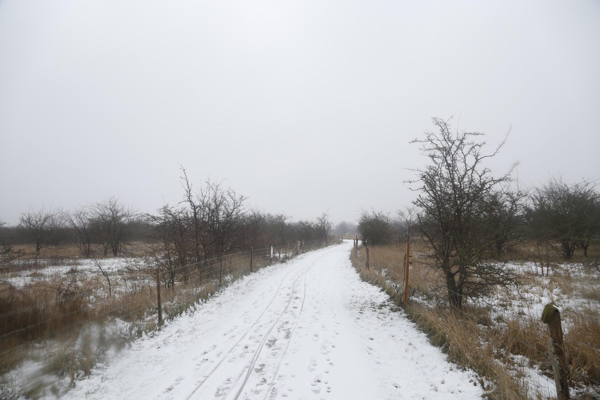 Der raser en bitter strid om flere grønne områder fra Sydhavn i vest og til Amager Fælled i øst. Foto: Emil Filtenborg.