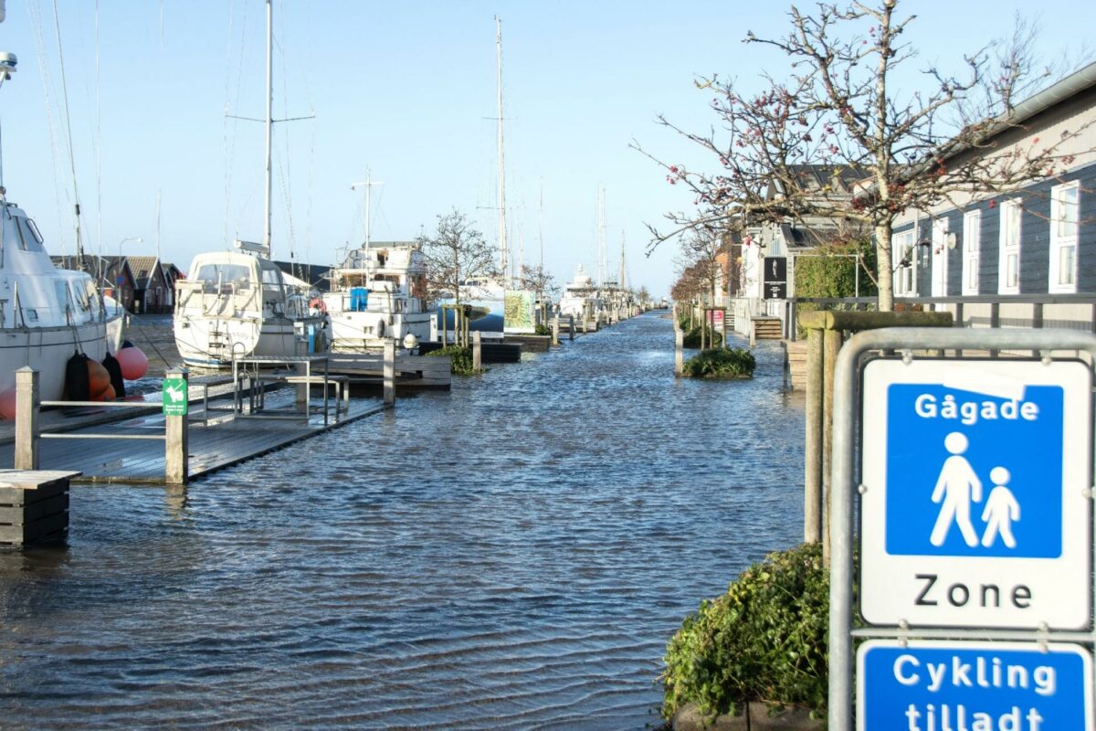 F&P foreslår bl.a., at kommunerne skal stille specifikke krav til nybyggeri i kystnære områder og områder, der ligger lavt i terrænet. Foto: Gettyimages.