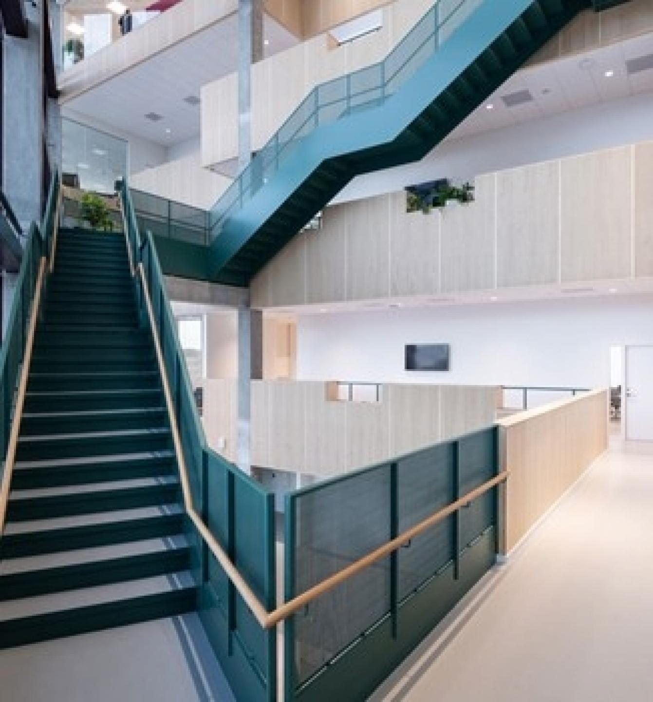 DMJX-byggeriet forholder sig til Fælledens natur og skaber en grøn sammenhæng med et trappeforløb, der roterer om et centralt atrium, der forbinder alle etager både vertikalt og visuelt. Foto: Emil Lund Pedersen