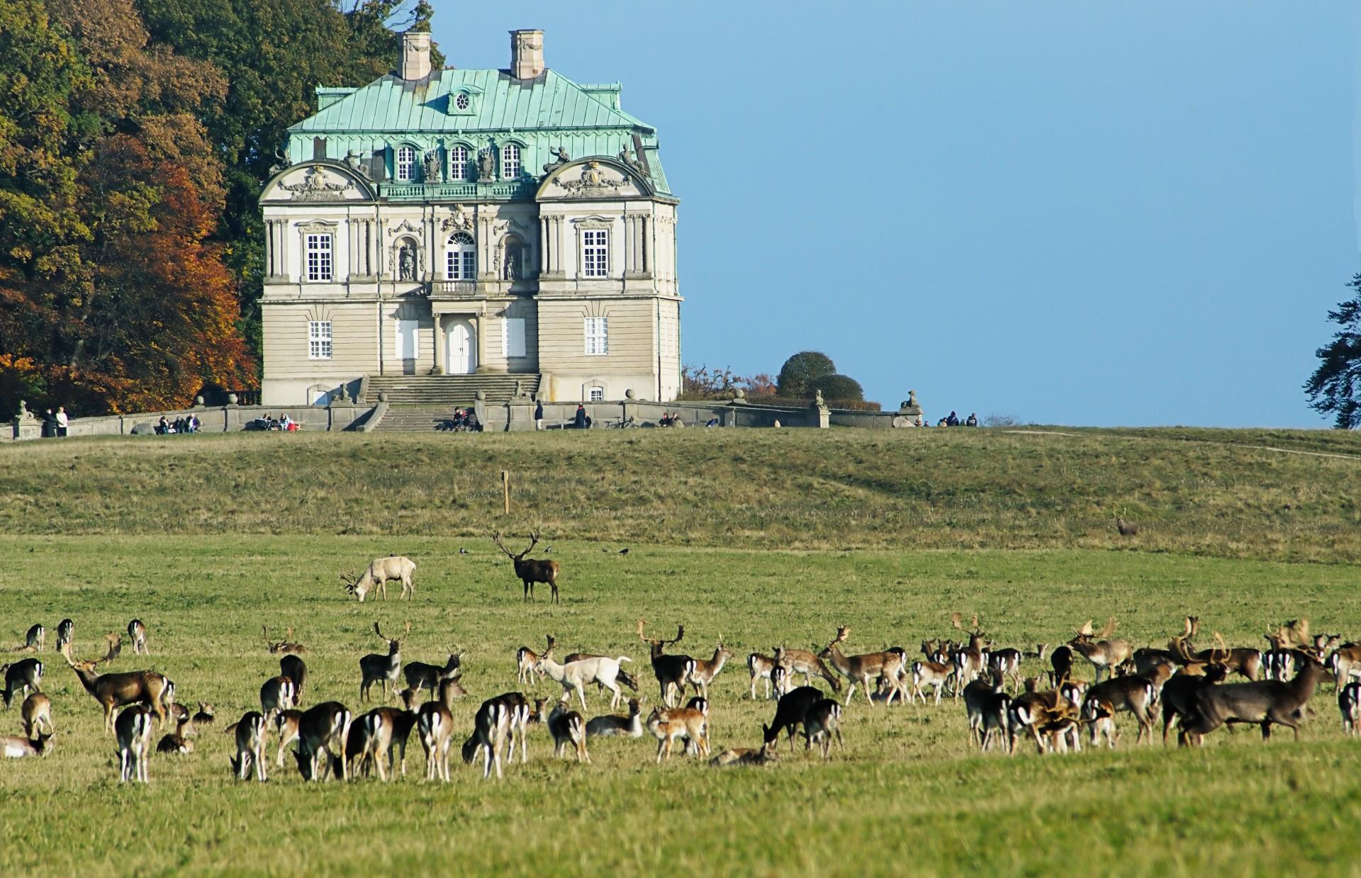 Eremitageslottet hører under Styrelsen for Slotte og Kulturejendomme, som også indgår i en fælles indsats i forbindelse med Sommerluk.dk-kampagnen. Foto: Colourbox.