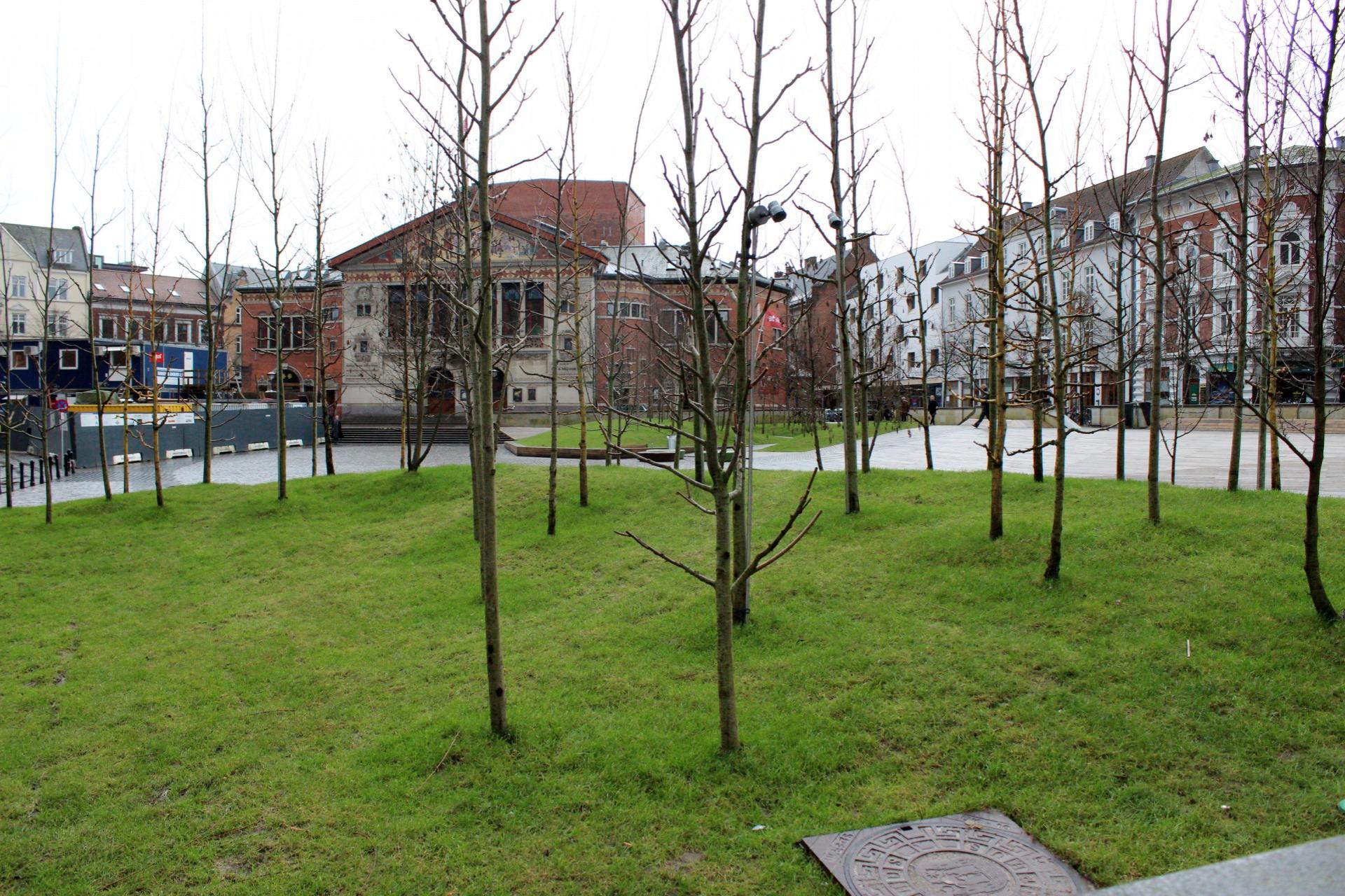 Bispetorv er ikke længere en parkeringsplads, men et grønt byrum. Foto: Kristian Troelsen.