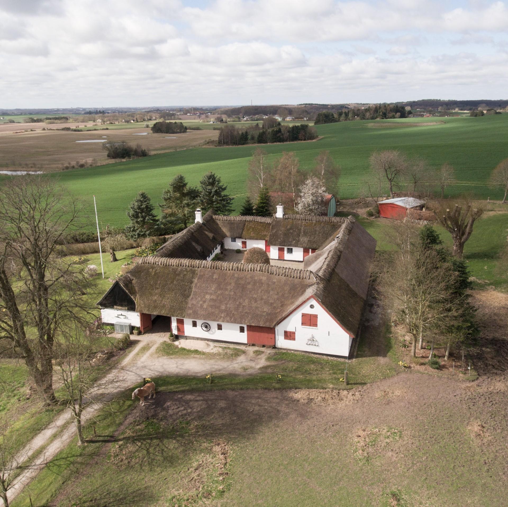 Bregnebjerggård ved Borup.