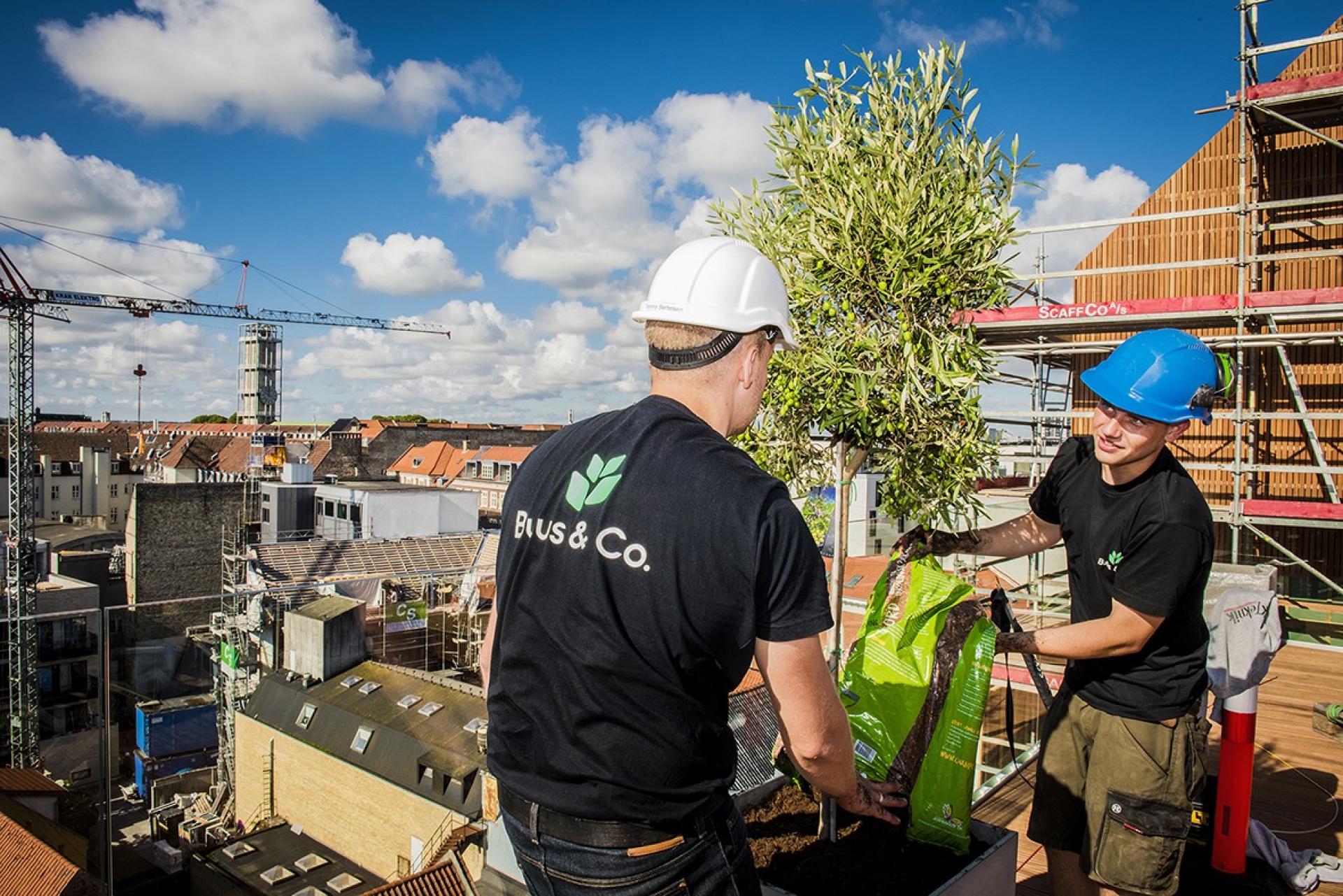 Salling Rooftop. Foto: Kirsten Adler Fotografi.