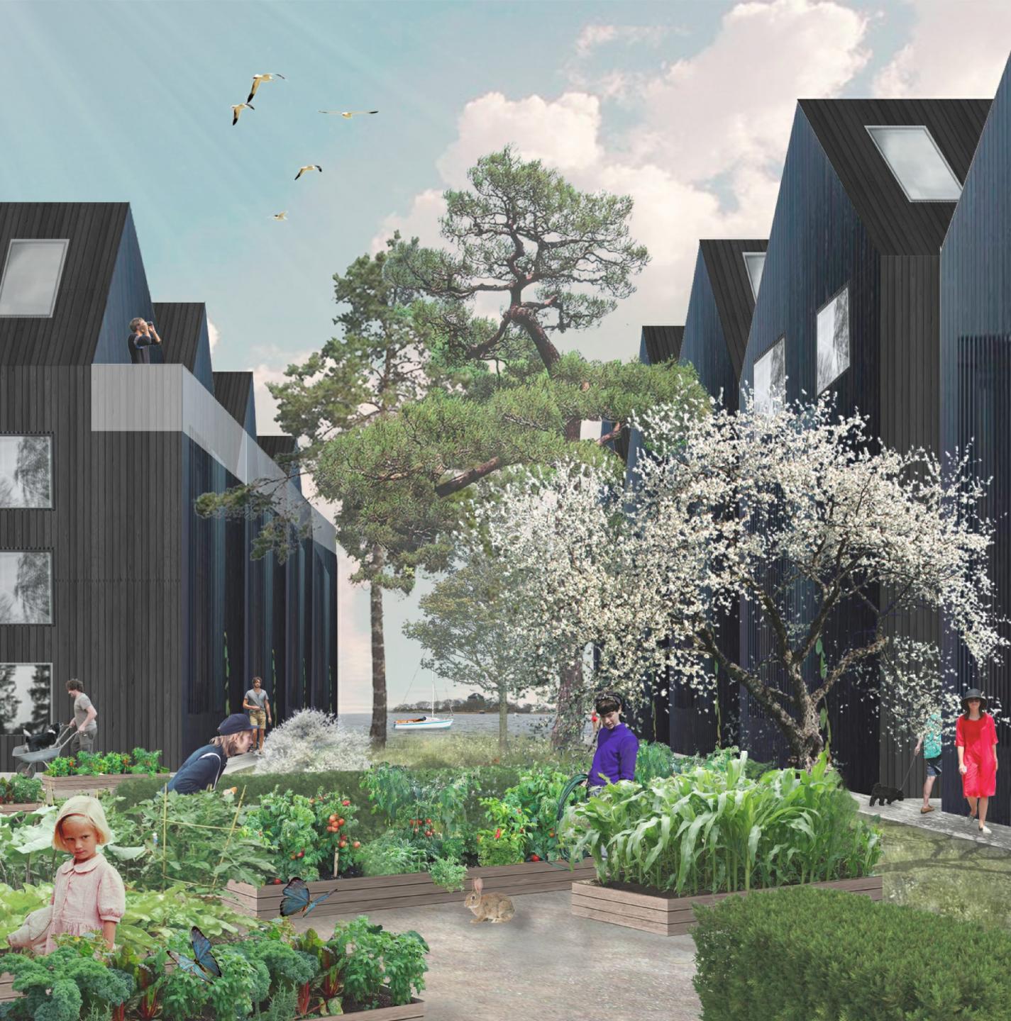 Visualisering af afgangsprojekt af landskabsarkitekt på Københavns Universitet.