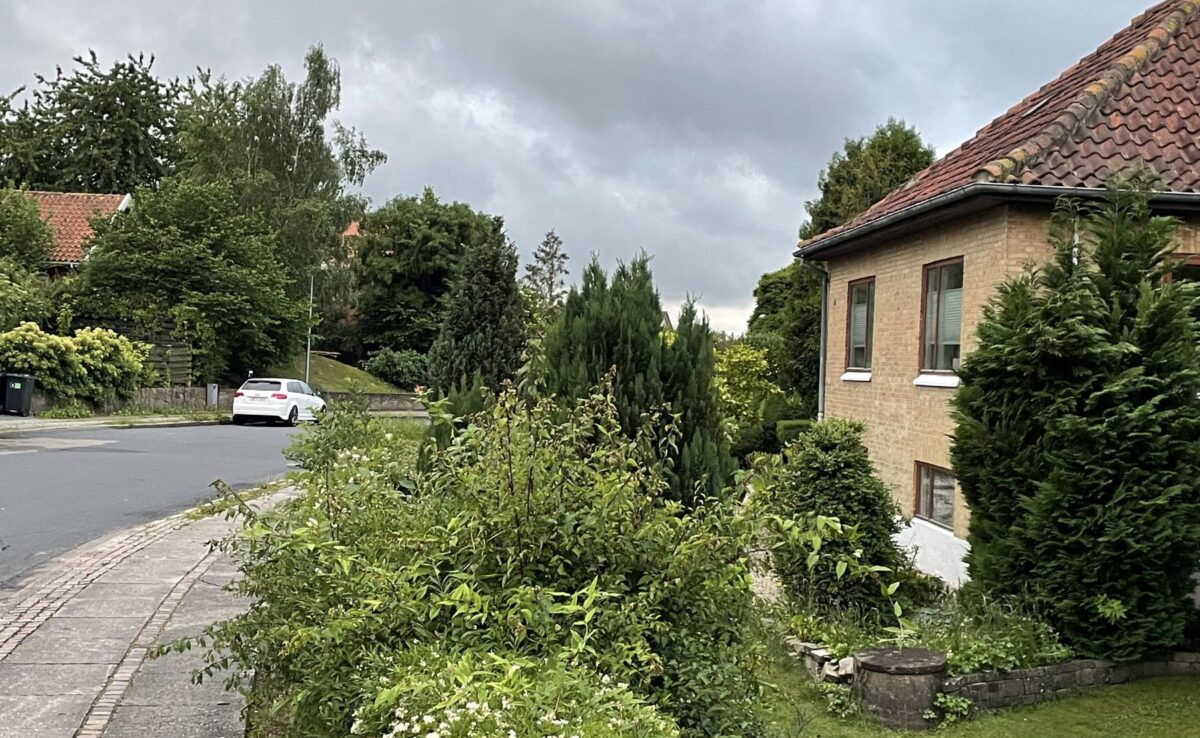 foto af en villavej. Inde bag en lav hæk til højre ses et hus i gule tegl med et gammelt rødt tag. Længere fremme hvor vejen sviinger lidt, holder en hvid bil parkeret i venstre side af vejen