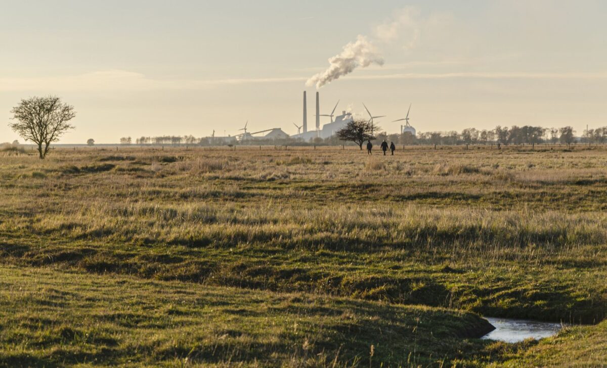 Foto af det store naturareal Kalvebod Fælled med græs og åløb i forgrunden. I baggrunden ses mennesker der går og løber samt et rygende Avedøreværk.