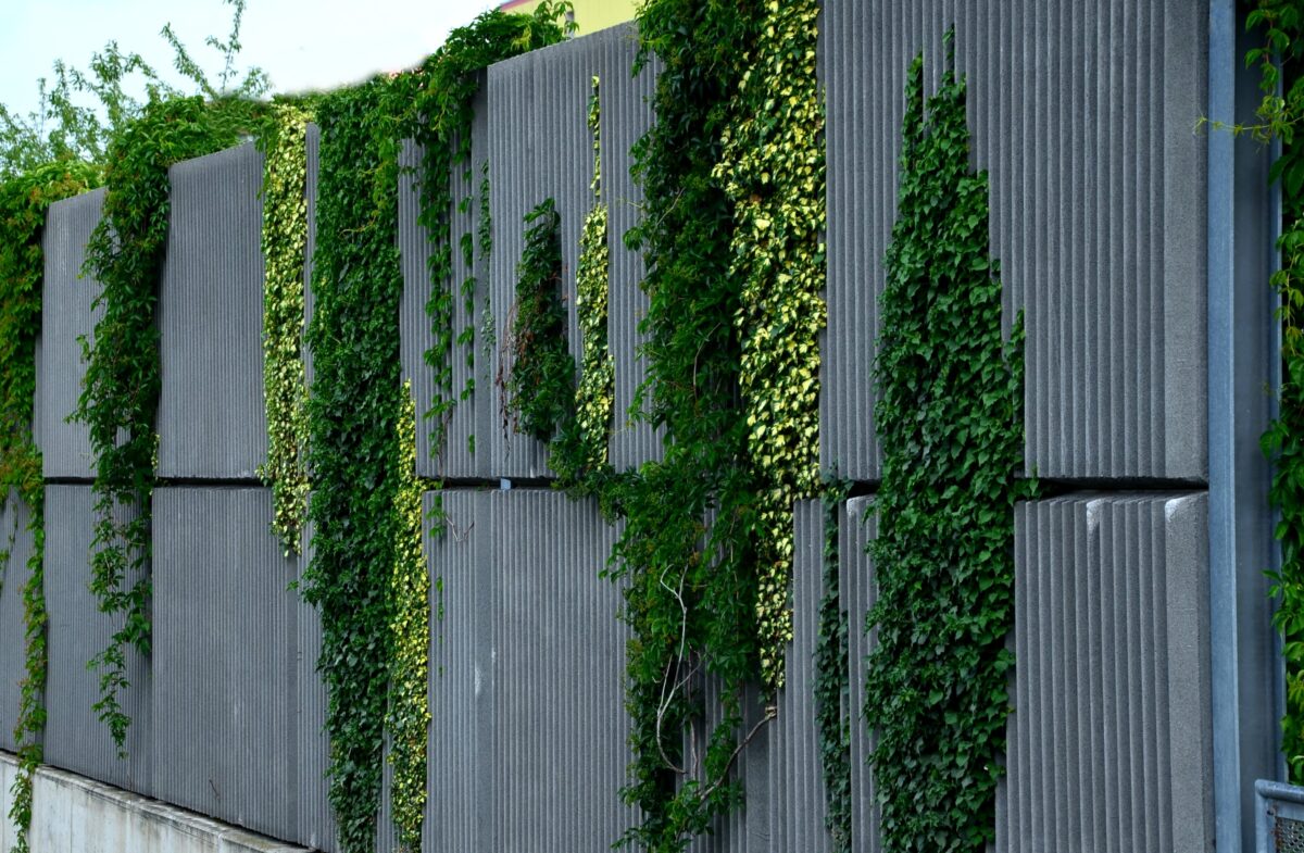 Foto af støjskærm med grønne planter, der vokser fra bund til top