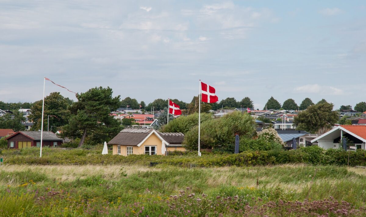 Højt græs i forgrunden, men sommerhuse og hejste dannebrogsflag i baggrunden.