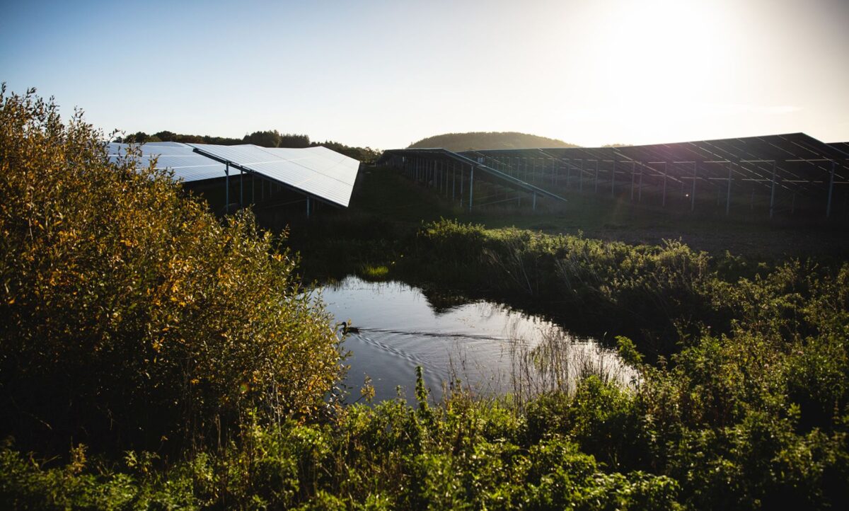 Foto af solcelleanlæg hvor solen er ved at gå ned bag. I forgrunden en sø