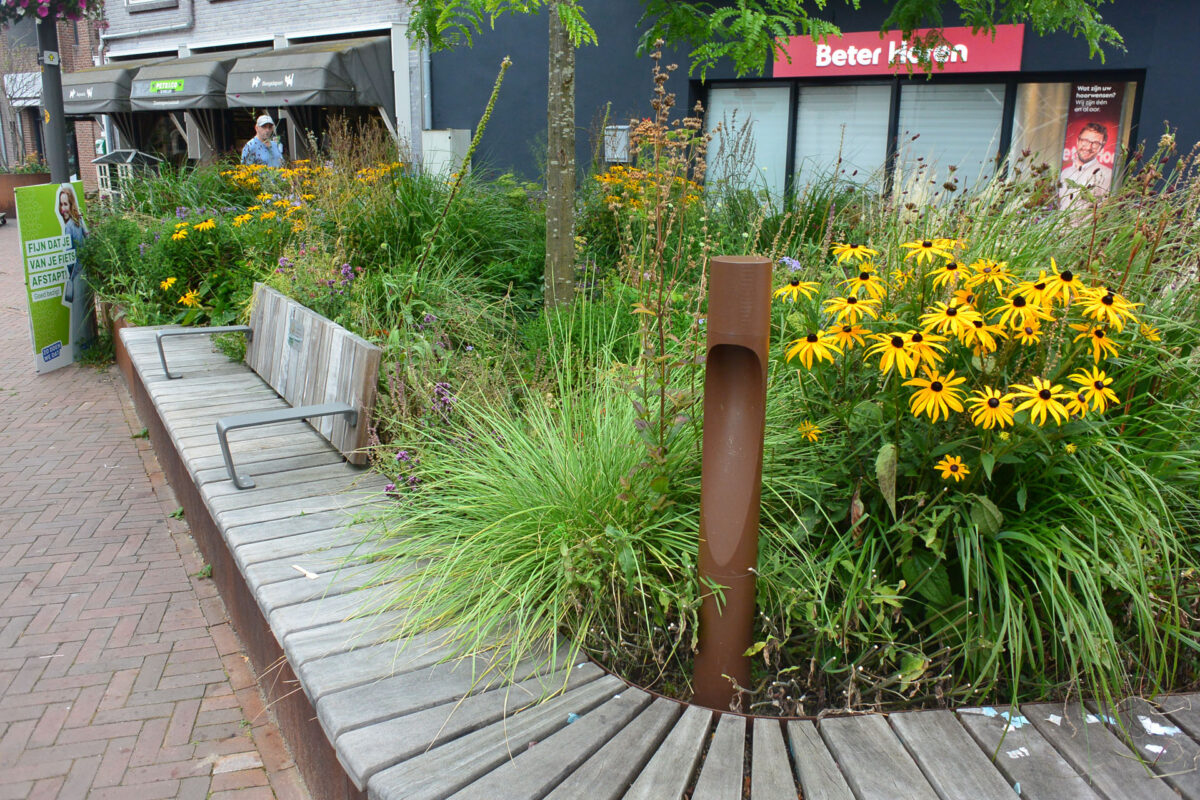 Bænk og planter