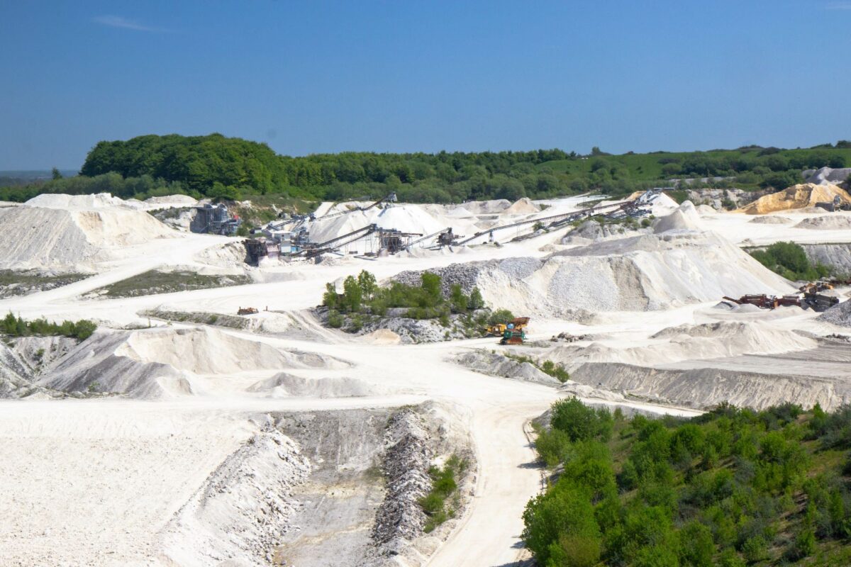 Grusgrav omgivet af træer