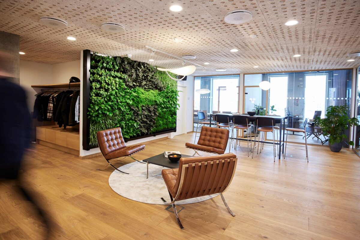 Indendørs plantevæg