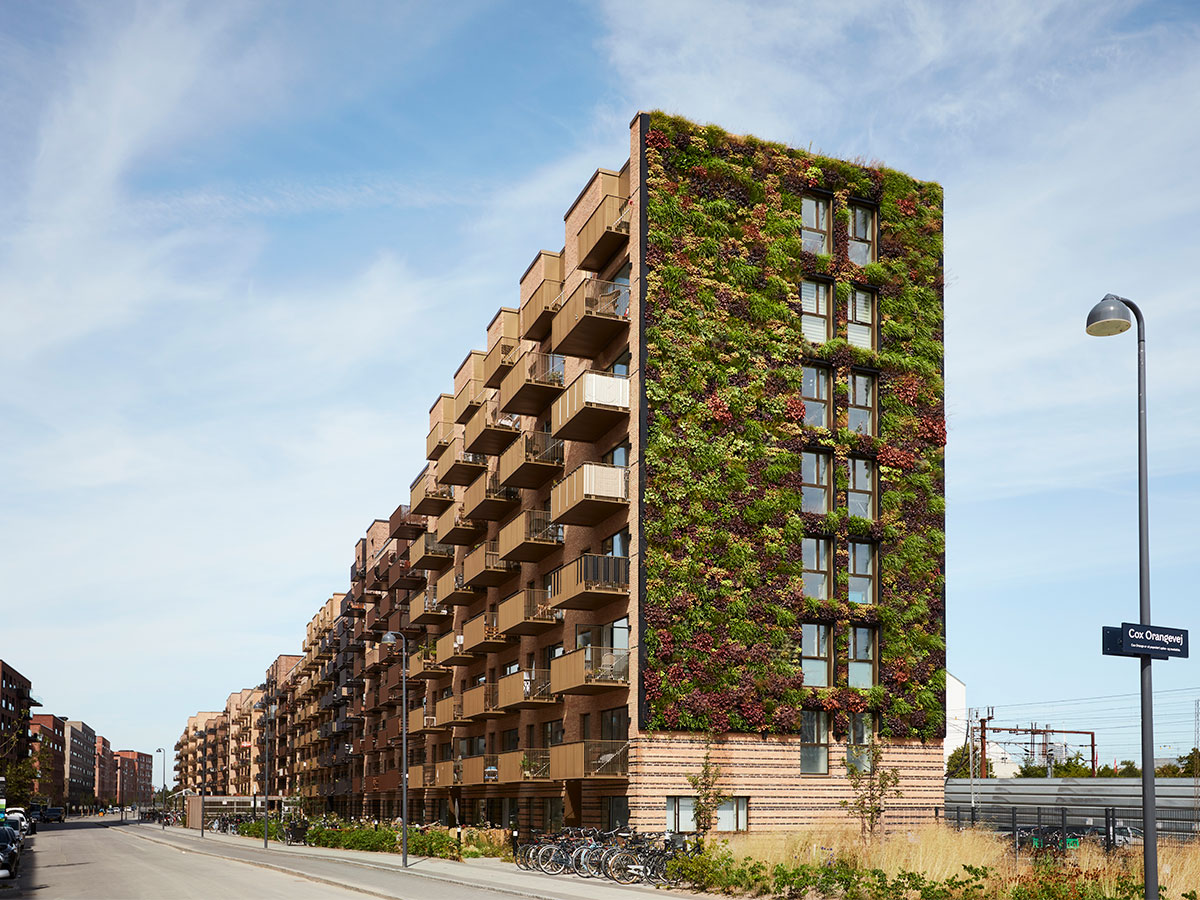 Udendørs plantevæg på Grønttorvet